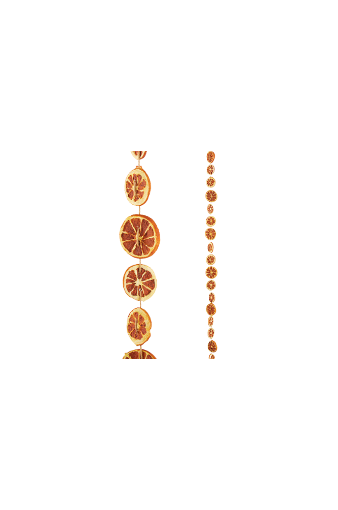 Orange Slice Garland