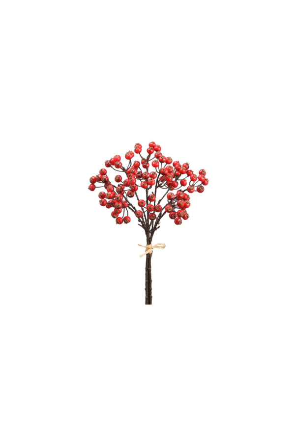 Red Huckleberry Bundle