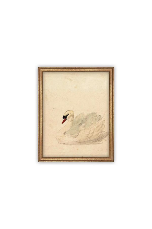 Vintage White Swan Art