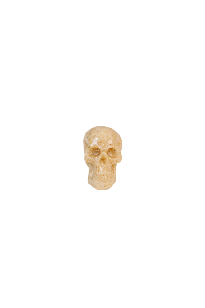 Skull Book Topper Decor
