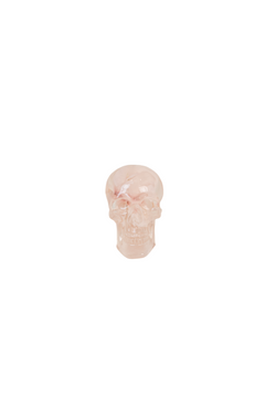 Skull Book Topper Decor