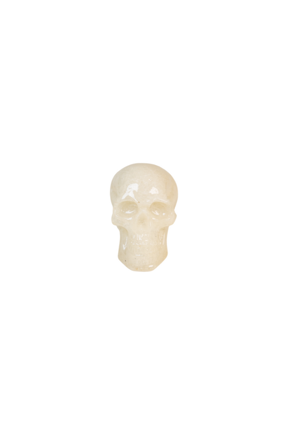 Skull Book Topper Decor