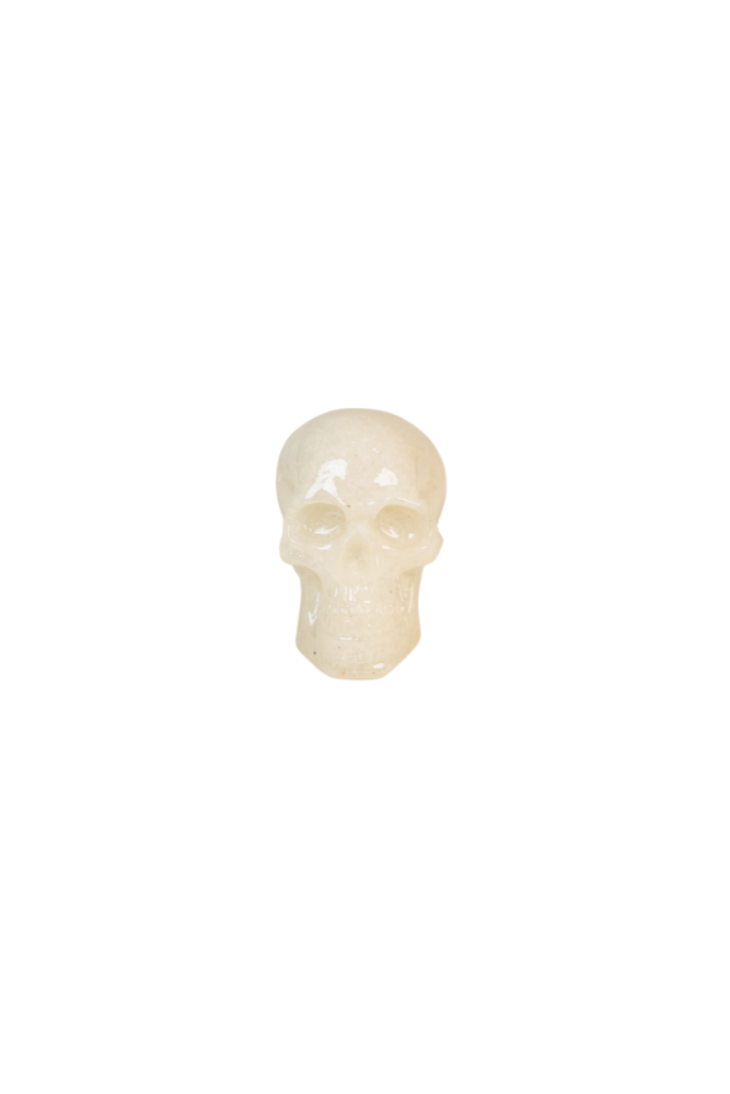 Skull Book Topper Decor