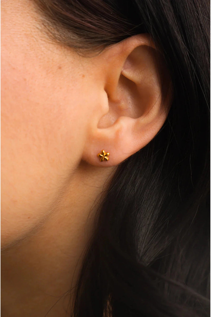 Zaana Tiny Studs