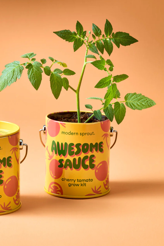 Awesome Sauce Cherry Tomato Grow Kit