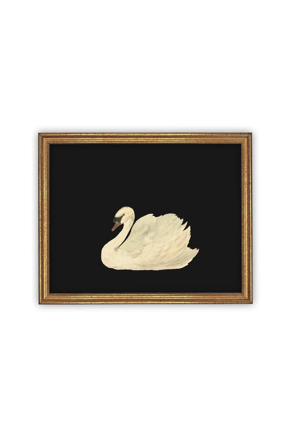 Vintage Black Swan Art