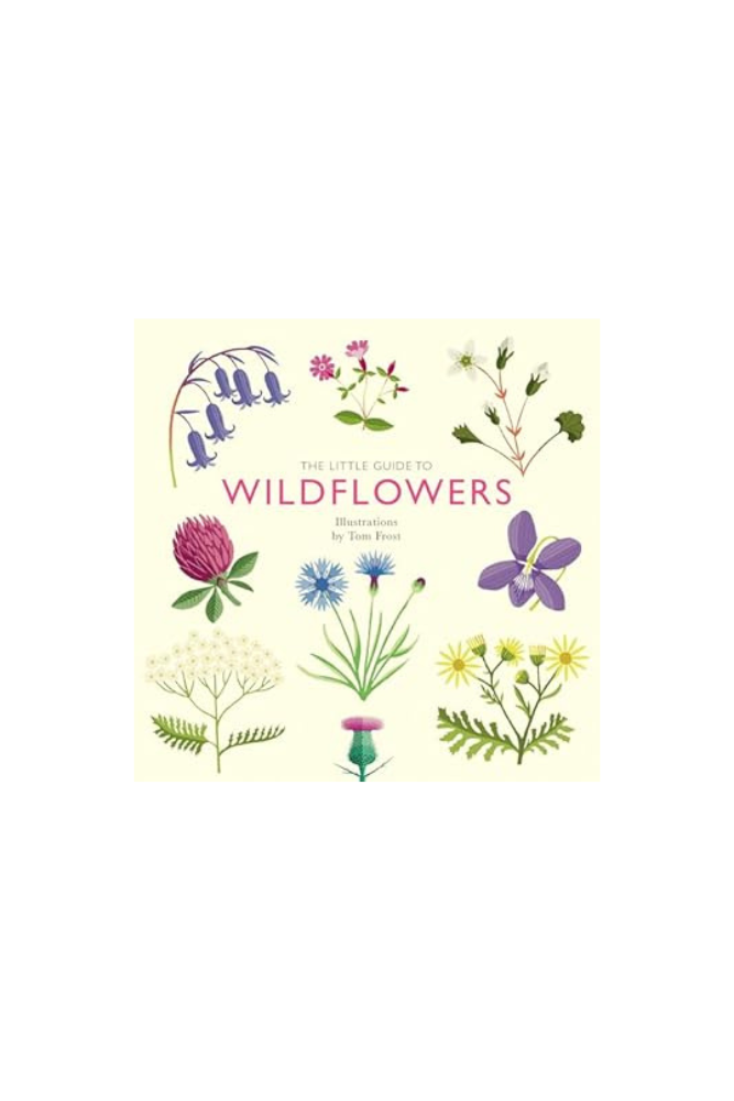 The Little Guide to Wildflowers