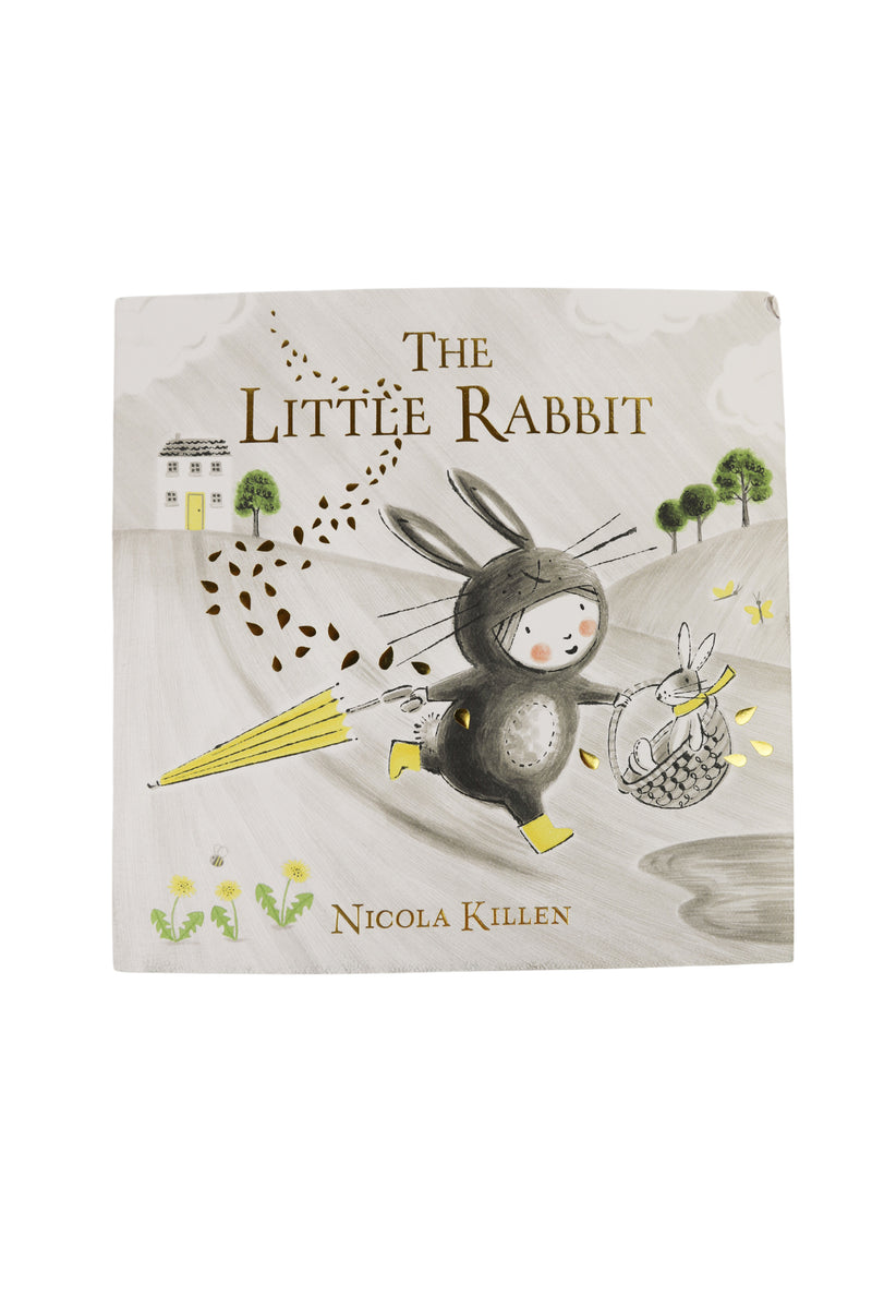 Little Rabbit Book